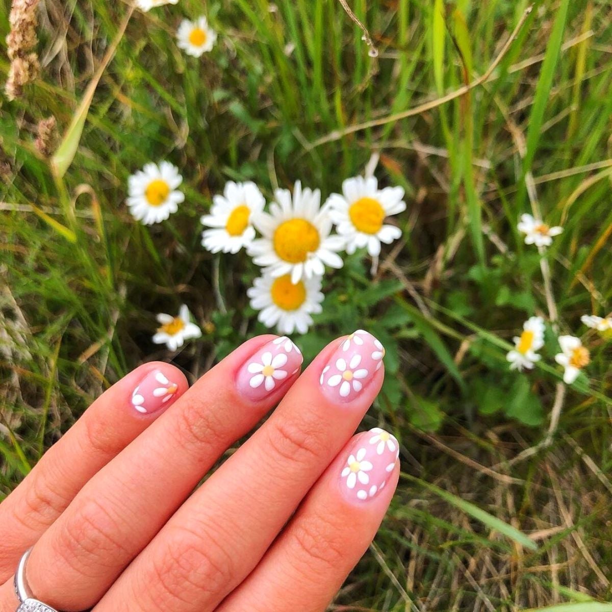 Repeating Daisy Pattern Short Oval Nails — Simple Floral Nails
