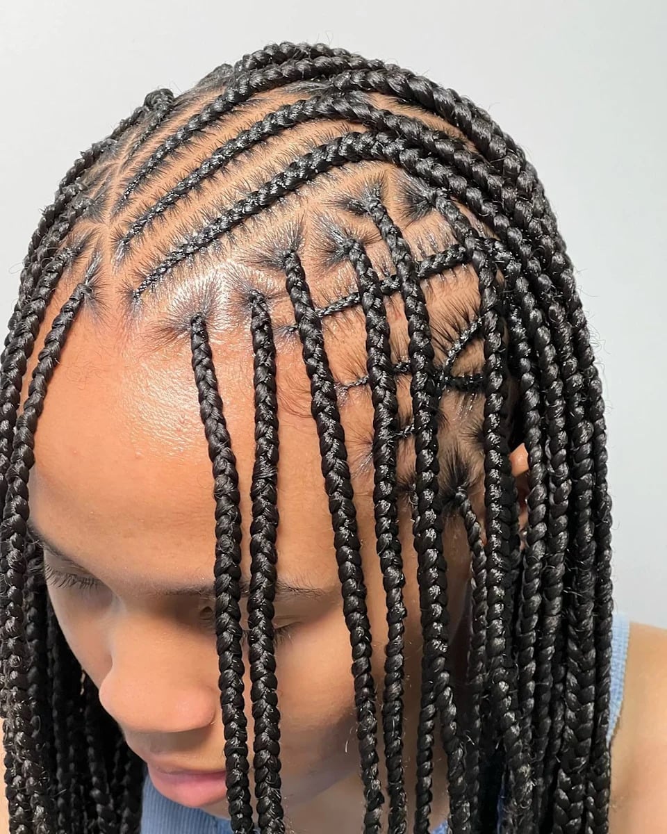 Fine Black Micro Braids — Simple Fulani Braids Hairstyles