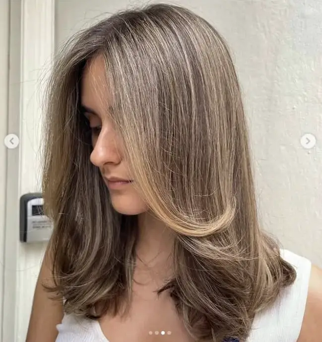 Collarbone Layers With Curtain Bangs Brown Gray Blonde Collarbone Layers With Curtain Bangs Brown Gray Blonde — Simple Gray Blending
