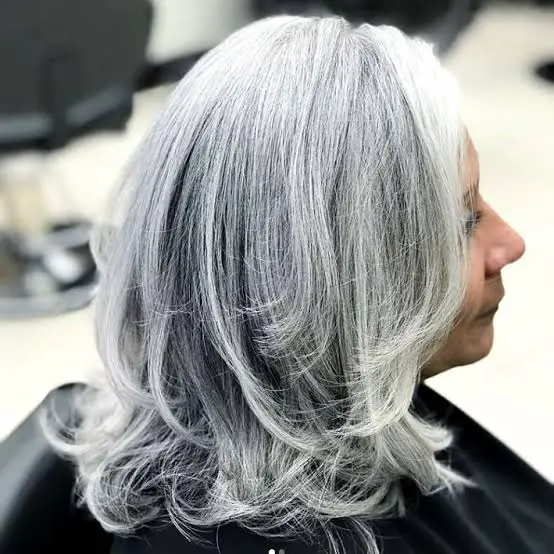 Collarbone Layers With Silver Gray and Dark Roots Collarbone Layers With Silver Gray and Dark Roots — Simple Gray Blending Hair