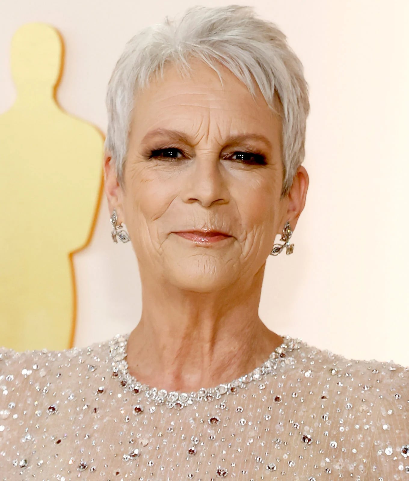 Textured Gray Pixie With Side Swept Bangs, Close-Up Take Textured Gray Pixie With Side Swept Bangs, Close-Up Take — Simple Gray Hair