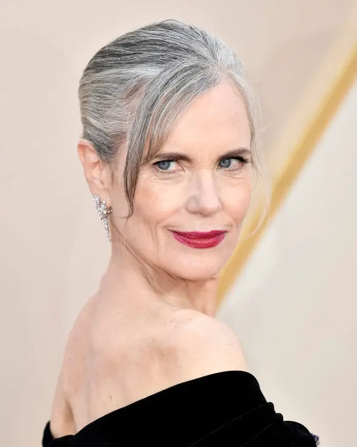 Elegant Updo With Gray Highlights — Simple Grey Highlights