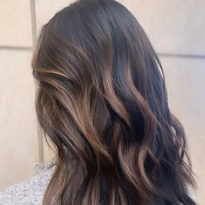 Shoulder Dark Brown With Brown Highlights — Simple Hair Color Chart