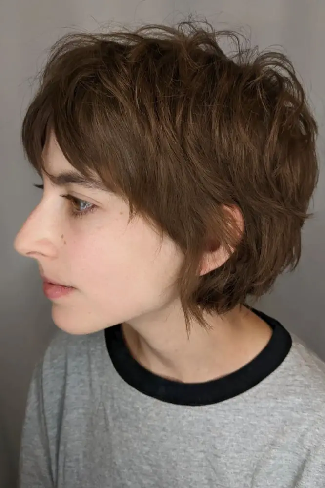 Ear Length Layered Pixie With Highlights Ear Length Layered Pixie With Highlights — Simple Haircuts for Thick Hair