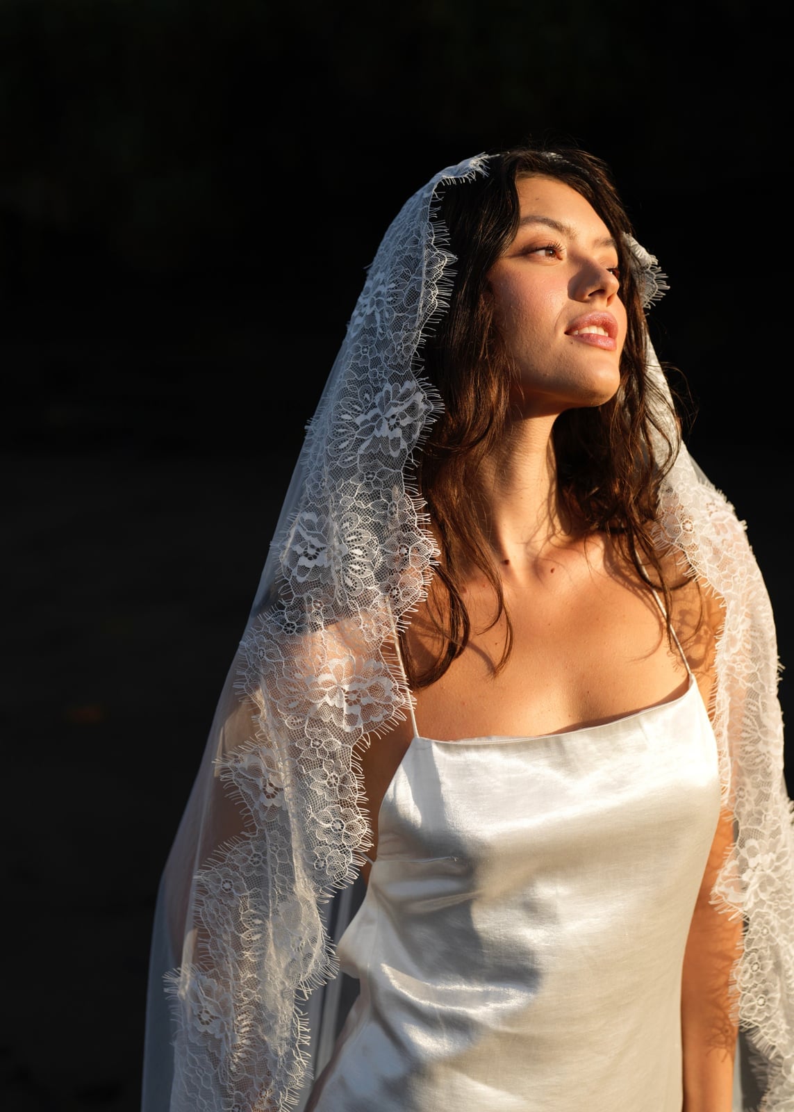 Dark Brown Loose Waves With Lace Veil Dark Brown Loose Waves With Lace Veil — Simple Hairstyles with Veil