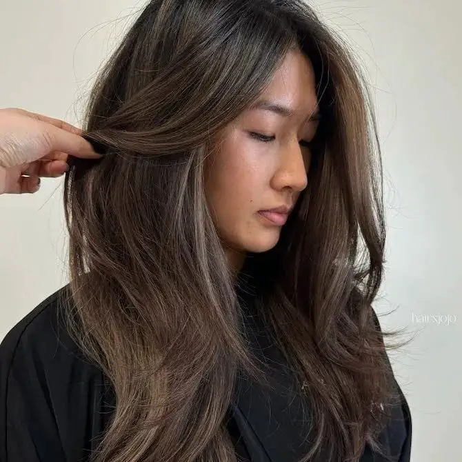 Dark Brown With Subtle Ash Highlights Dark Brown With Subtle Ash Highlights — Simple Highlights on Dark Hair