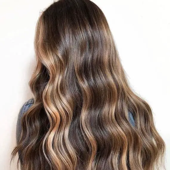 Mid-Back With Honey Highlights Mid-Back With Honey Highlights — Simple Highlights on Dark Hair