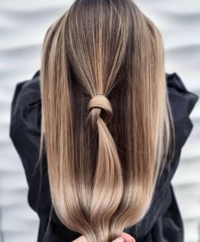 Mid-Back Straight Hair With Honey Blonde Balayage — Simple Honey Balayage