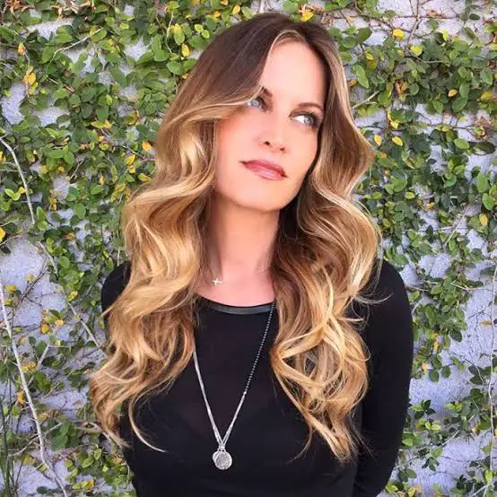 Mid-Back Warm Brown With Sun-Kissed Honey Highlights Mid-Back Warm Brown With Sun-Kissed Honey Highlights — Simple Honey Highlights