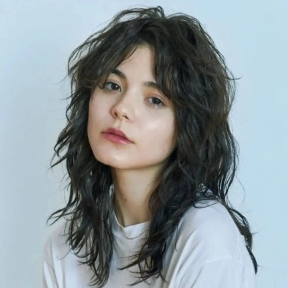 Simple T-Shirt Highlights Shag Haircut — Simple Hush Cut