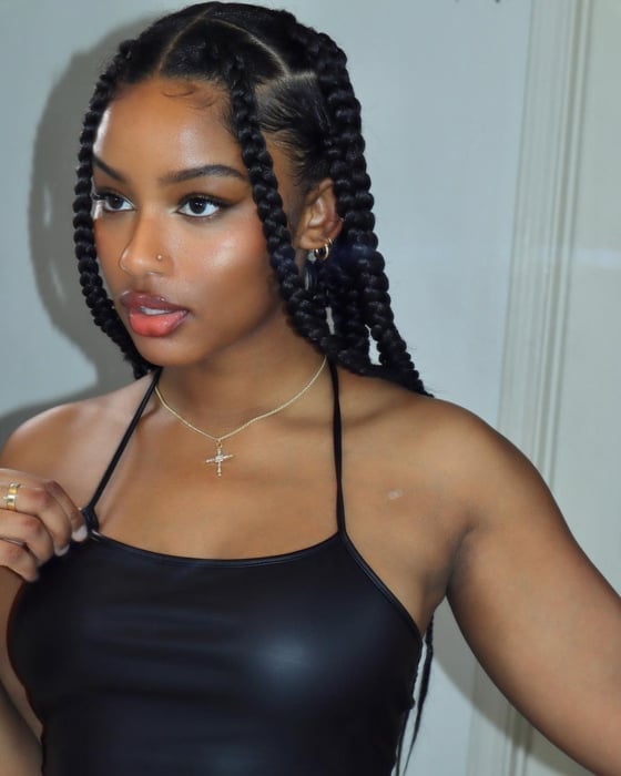 Collarbone Length Black Box Braids — Simple Jumbo Braids