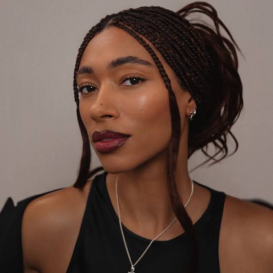 Mid-Back Dark Brown Braids in a High Ponytail With Face-Framing Pieces — Simple Knotless Hairstyles