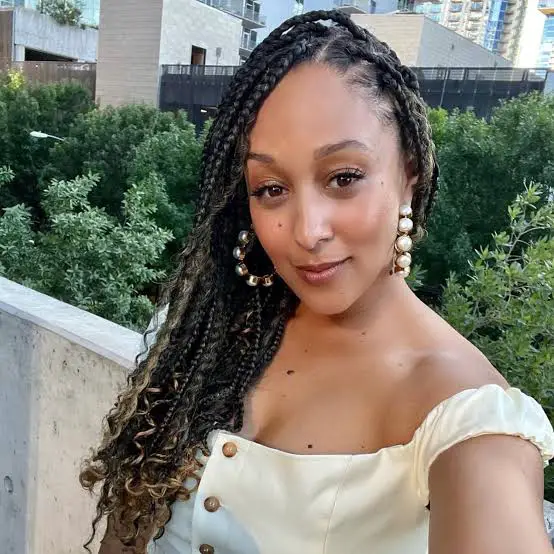 Dark Brown Braids With Blonde Highlights And Curly Ends, Close-Up Take Dark Brown Braids With Blonde Highlights And Curly Ends, Close-Up Take — Simple Large Knotless Braids