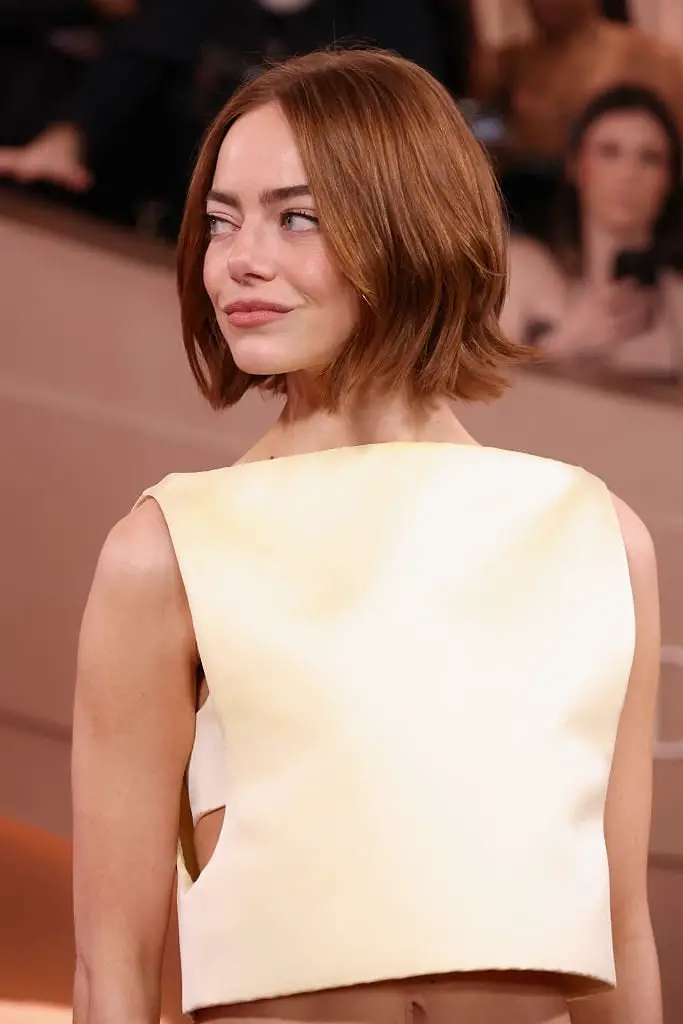 Layered Chin Bob In Reddish Brown — Simple Layer Bob