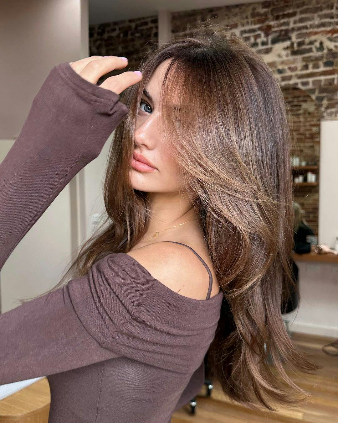 Collarbone Layers With Dark Brown And Blonde Highlights Collarbone Layers With Dark Brown And Blonde Highlights — Simple Layered Haircuts for Medium Hair