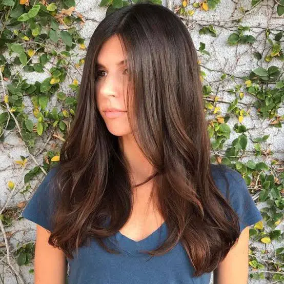 Mid-Back Straight Dark Brown With Long Layers, Everyday Version Mid-Back Straight Dark Brown With Long Layers, Everyday Version — Simple Long Haircuts
