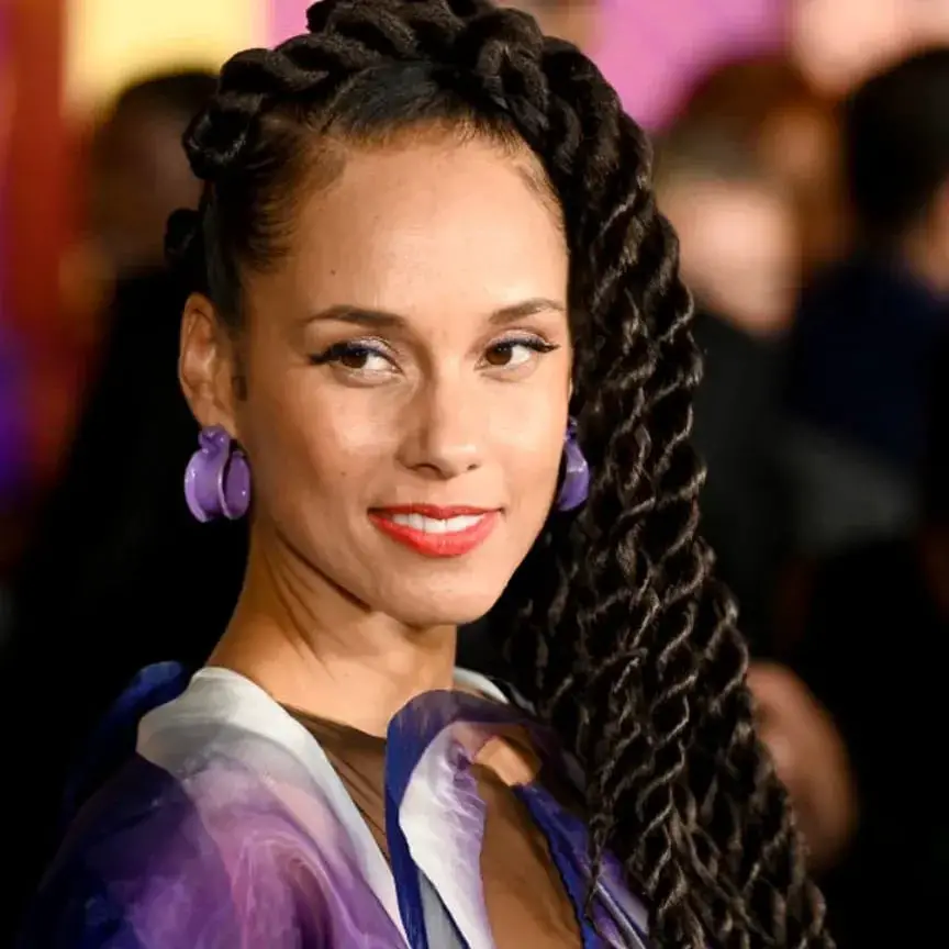 Large Mid-Back Updo With Braided Twists — Simple Marley Twists Hairstyles