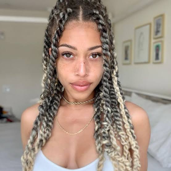 Shoulder Length Twists With Gray and Blonde Color — Simple Marley Twists Hairstyles
