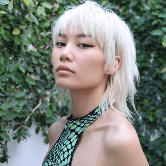 Shoulder Length Shag Mullet With Choppy Fringe — Simple Mullet Hairstyles
