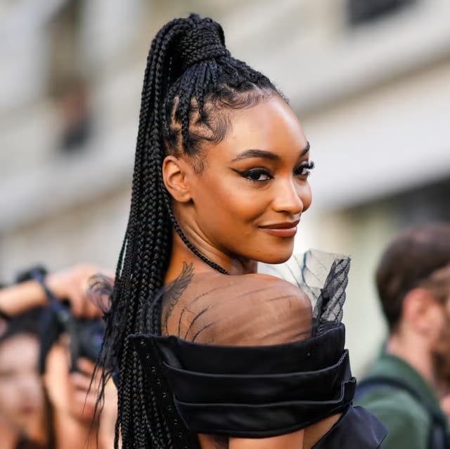 High Ponytail With Long Thin Box Braids High Ponytail With Long Thin Box Braids — Simple Natural Braids
