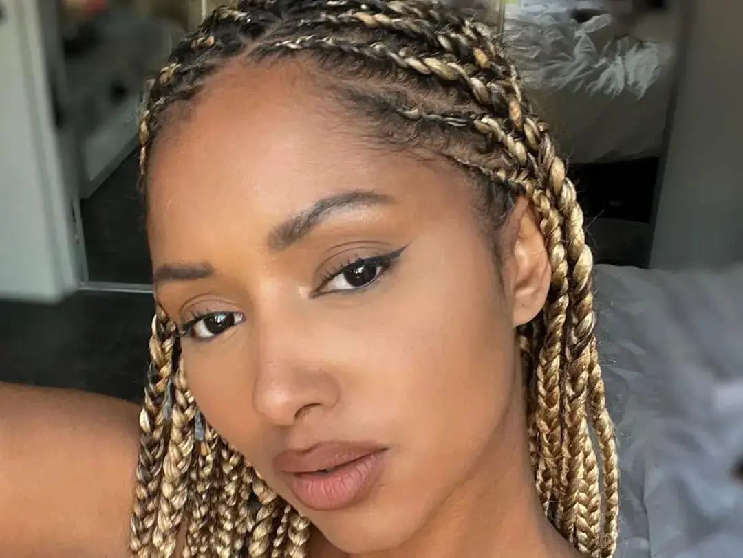 Two-Tone Shoulder Box Braids Two-Tone Shoulder Box Braids — Simple Natural Braids