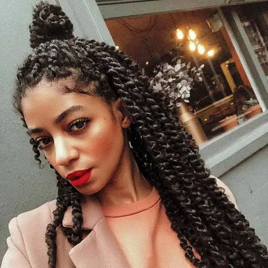 Mid-Back Dark Brown Twists Half Updo — Simple Passion Twists Hairstyles