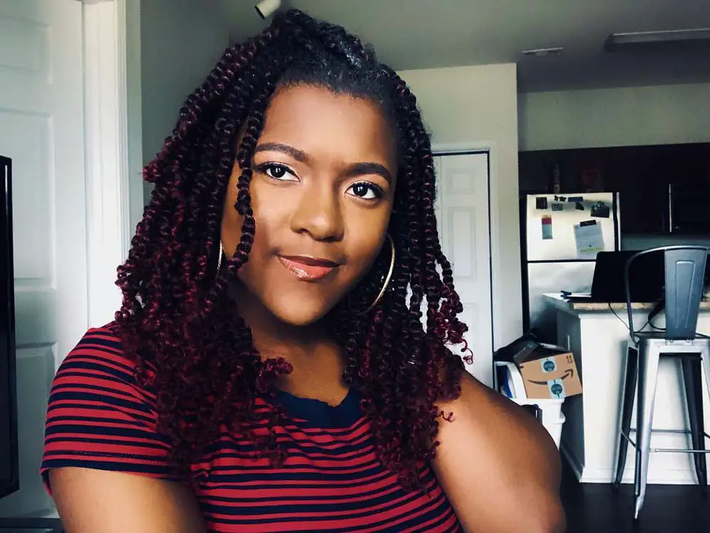 Mid-Back Dark Brown Twists With Burgundy Highlights — Simple Passion Twists Hairstyles