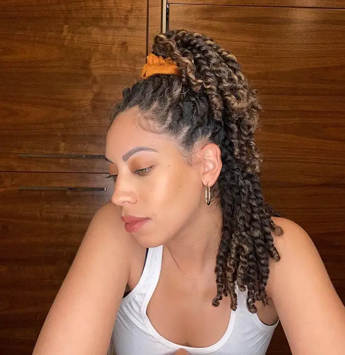 Defined Mid-Back Dark Brown Twists — Simple Passion Twists Hairstyles