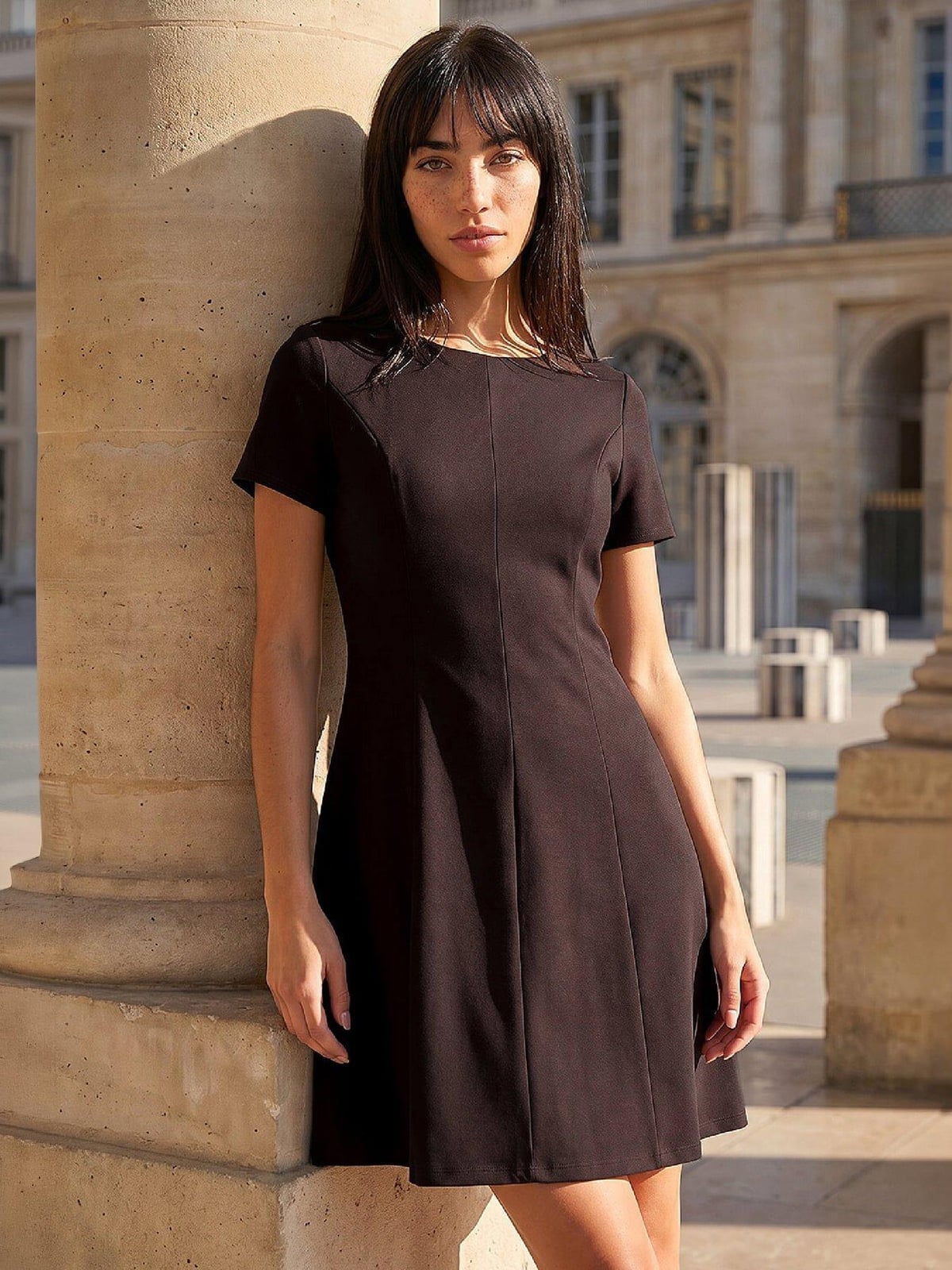 Dark Brown A-line Dress with Seamed Bodice Dark Brown A-line Dress with Seamed Bodice — Simple Petite Outfits