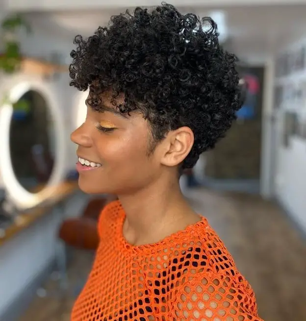 Thick Dark Brown Curly Pixie Thick Dark Brown Curly Pixie — Simple Pixie Cut Hairstyles
