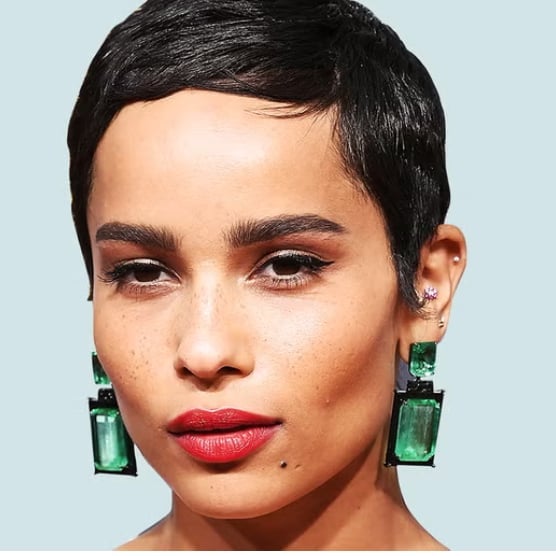 Tousled Black Pixie With Cropped Sides Tousled Black Pixie With Cropped Sides — Simple Pixie Cut Hairstyles
