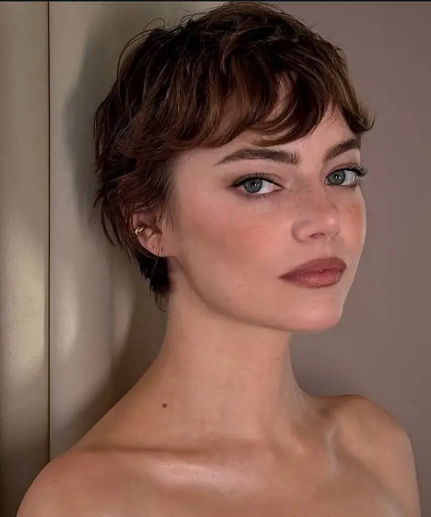 Soft Air-Dried Brown Pixie — Simple Pixie Haircuts