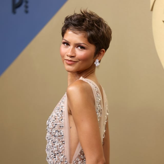 Brown Pixie With Textured Volume Brown Pixie With Textured Volume — Simple Pixie Hairstyles