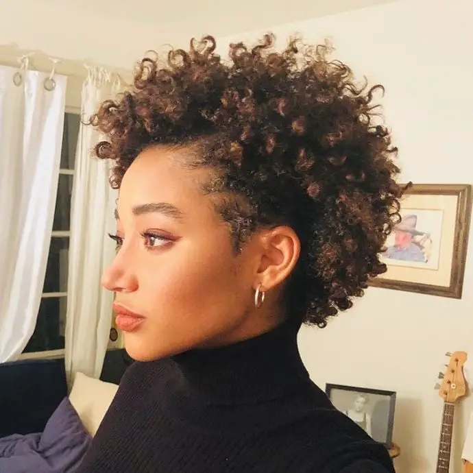 Short Puffed Dark Brown Natural Hair Short Puffed Dark Brown Natural Hair — Simple Puff Hairstyles