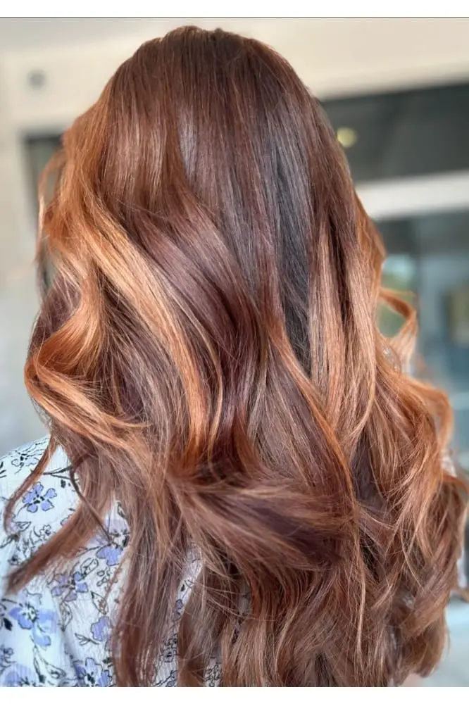 Dark Red With Copper Highlights Back View, Wavy — Simple Red Highlights