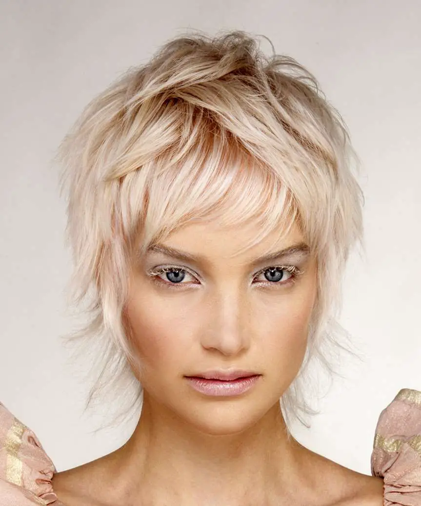 Short Ear Length Shag With Choppy Layers Short Ear Length Shag With Choppy Layers — Simple Shag Hairstyles