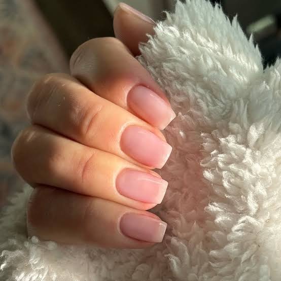 Sheer Milky Pink Jelly Short Square Nails With Showcasing A Natural Sheer Milky Pink Jelly Short Square Nails With Showcasing A Natural — Simple Sheer Nails