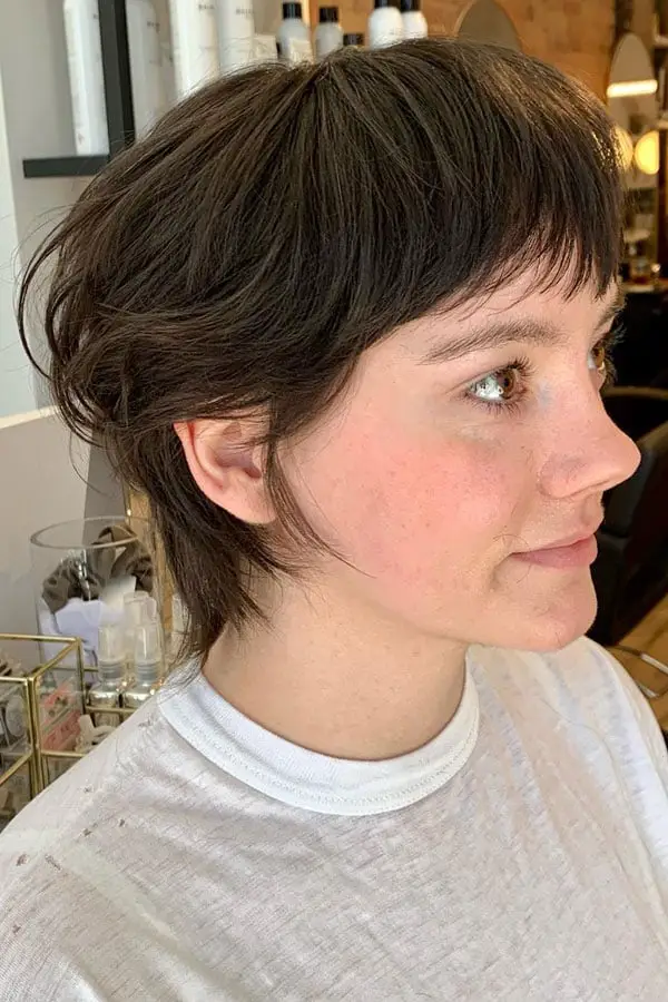 Chin Length Dark Brown Shag Wispy Bangs With A Side Parting Chin Length Dark Brown Shag Wispy Bangs With A Side Parting — Simple Short Shag
