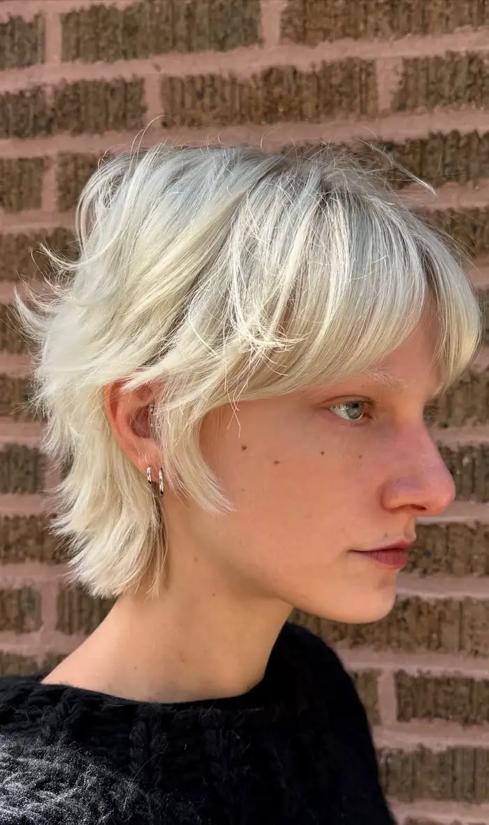 Collarbone Shag With Air-Dried Waves Collarbone Shag With Air-Dried Waves — Simple Short Shag