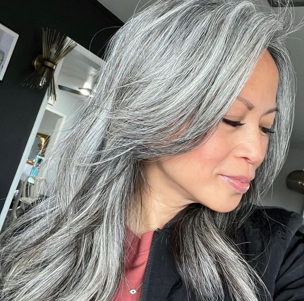 Mid-Back Air-Dried With Silver Highlights — Simple Silver Highlights