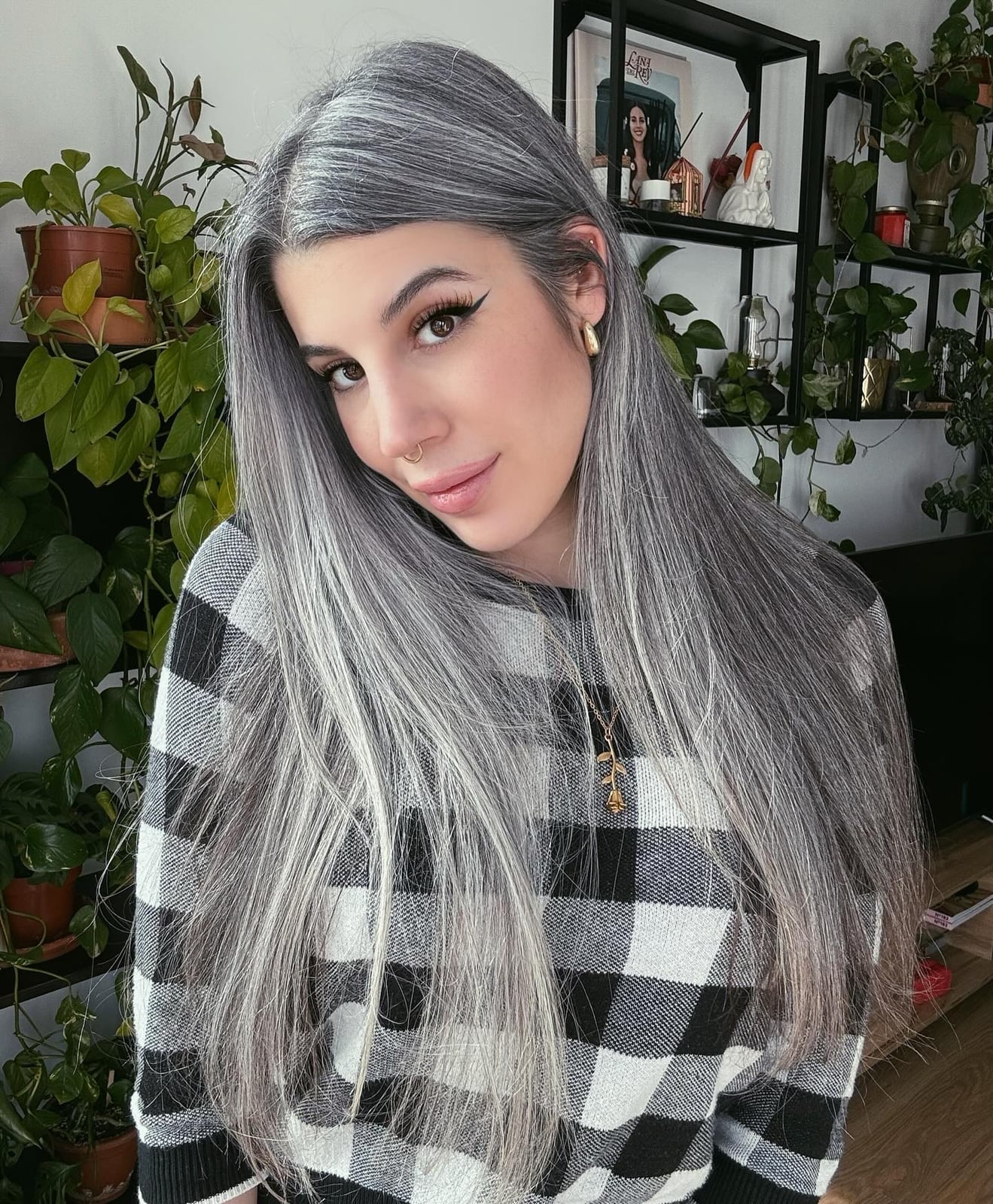 Mid-Back Straight Hair Silver Highlights Blowout — Simple Silver Highlights