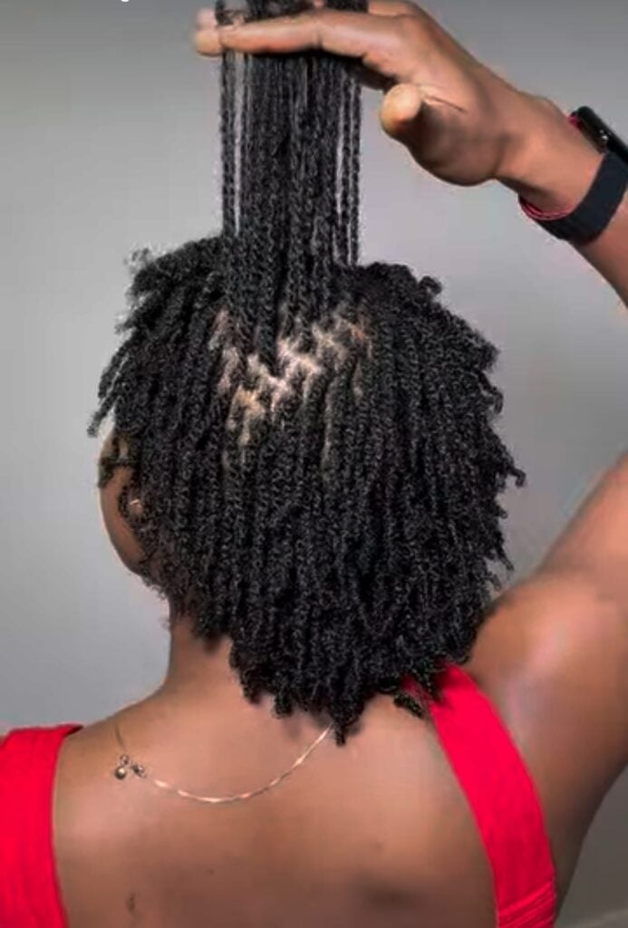 Short Twisted Starter Locs Back View Short Twisted Starter Locs Back View — Simple Starter Locs
