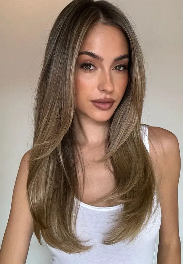 Mid-Back Length Brown Hair With Blonde Highlights — Simple Straight Hair Haircuts