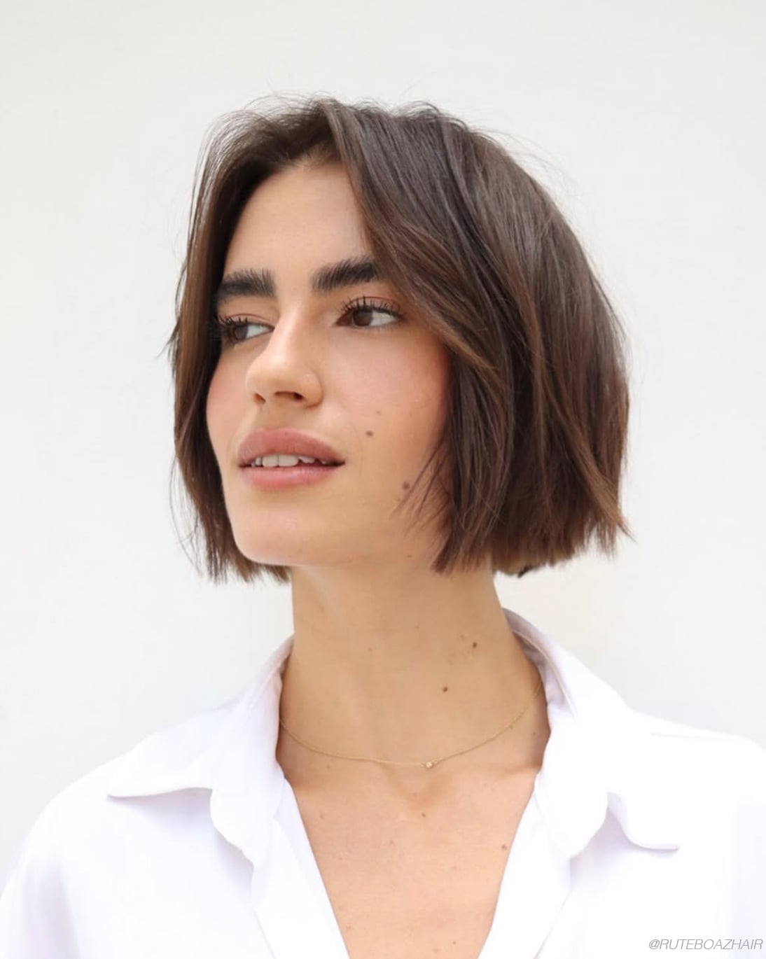 Sleek Chin Length Blunt Bob — Simple Textured Bob
