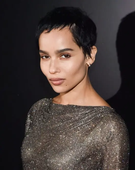 Choppy Black Pixie with Swept Bangs Choppy Black Pixie with Swept Bangs — Simple Textured Pixie