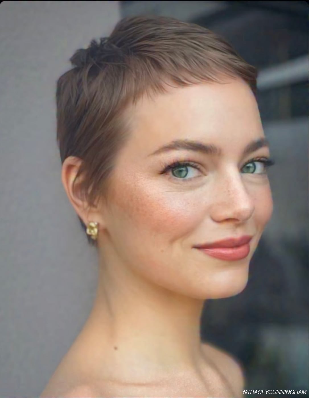 Light Brown Pixie with Micro Bangs Light Brown Pixie with Micro Bangs — Simple Textured Pixie