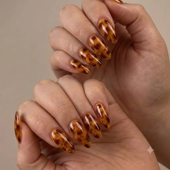 Medium Almond Teal and Tortoise Accents, Glossy Medium Almond Teal and Tortoise Accents, Glossy — Simple Tortoise Nails