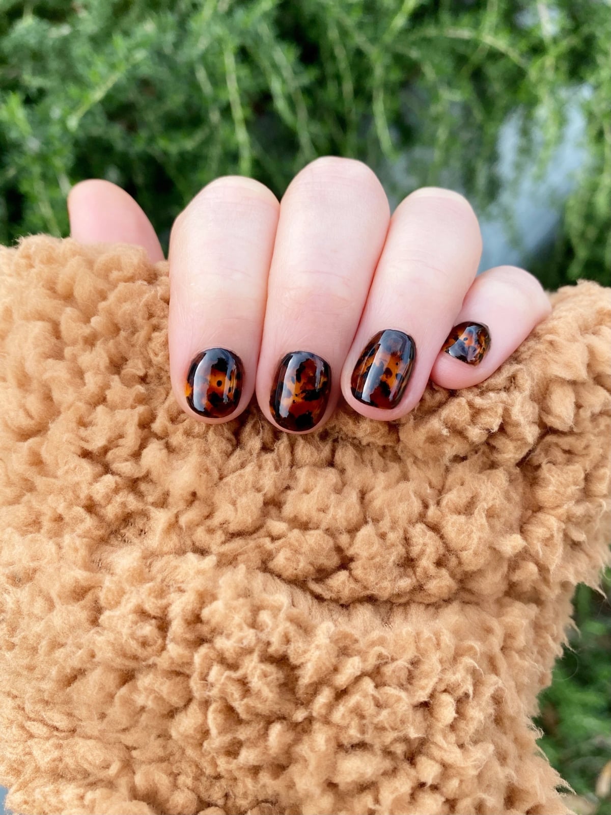 Short Square Classic Tortoise Short Square Classic Tortoise — Simple Tortoise Nails