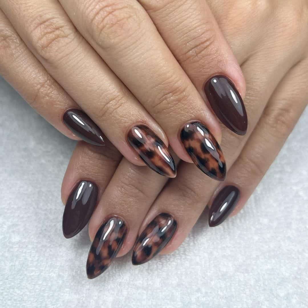 Vibrant Tortoise Shell Medium Stiletto Nails — Simple Tortoise Shell Nails