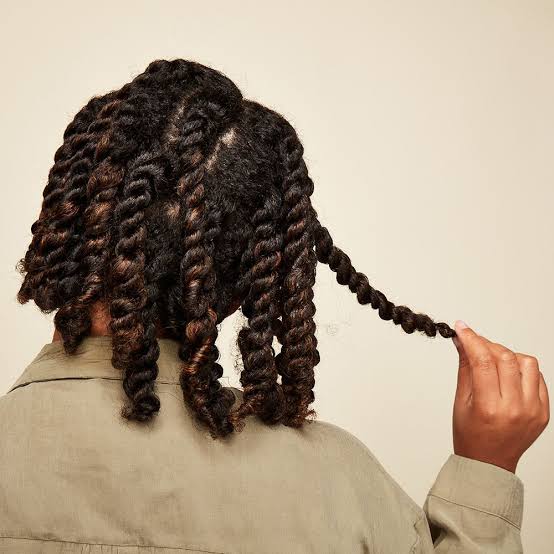 Mid-Back Wavy Twists Back View With Dark Brown With Subtle Highlights Mid-Back Wavy Twists Back View With Dark Brown With Subtle Highlights — Simple Two Strand Twists